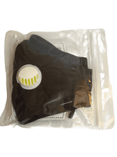 Load image into Gallery viewer, PM2.5 Reusable Cloth Face Mask w/2 Filters (011)
