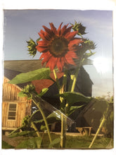Load image into Gallery viewer, 16x20in Farm Canvas