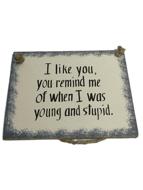 “When I Was Young And Stupid” 5”X4” Plaque