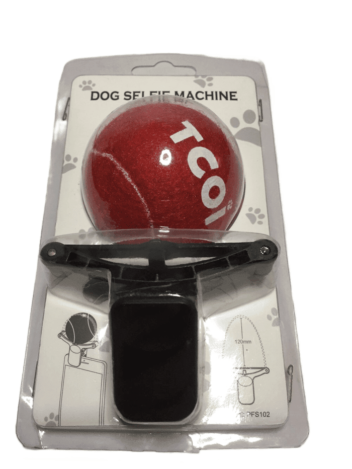 Dog Selfie Machine (023)