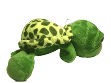 Load image into Gallery viewer, Stuffed Turtle w/Suction Cup (026)