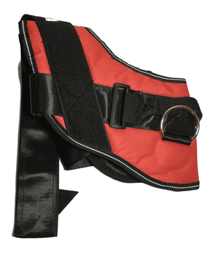 M/L Dog Harness (005)