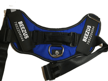Load image into Gallery viewer, Doggy Kingdom Harness (L) (009)